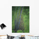 Hawaii, Kauai, Mt Waialeale, Wettest Spot On The Island Wall Mural