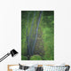 Hawaii, Kauai, Mt Waialeale, Wettest Spot On The Island Wall Mural