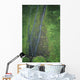 Hawaii, Kauai, Mt Waialeale, Wettest Spot On The Island Wall Mural