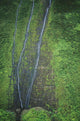 Hawaii, Kauai, Mt Waialeale, Wettest Spot On The Island Wall Mural