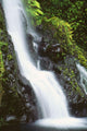 Hawaii, Maui, Foliage And Waterfall Along Hana Highway Wall Mural