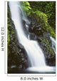 Hawaii, Maui, Foliage And Waterfall Along Hana Highway Wall Mural