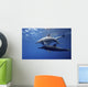Dolphins Wall Mural