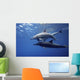 Dolphins Wall Mural