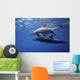 Dolphins Wall Mural