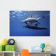 Dolphins Wall Mural