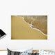 Close-Up Of Gentle Waves Washing Onto Sandy Tropical Beach Wall Mural
