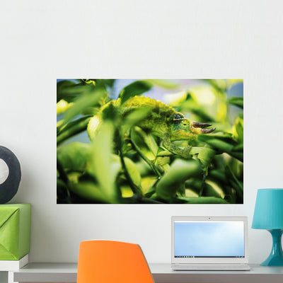 Jackson's Chameleon Blending to Wall Mural shown on a wall