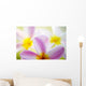 Pink Plumeria Flowers With Yellow Centers, Interesting Angle And Blur Wall Mural