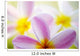 Pink Plumeria Flowers With Yellow Centers, Interesting Angle And Blur Wall Mural