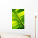 Close-Up Of Bright Green Banana Leaf Pattern Forms Off The Main Rib Wall Mural