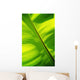 Close-Up Of Bright Green Banana Leaf Pattern Forms Off The Main Rib Wall Mural