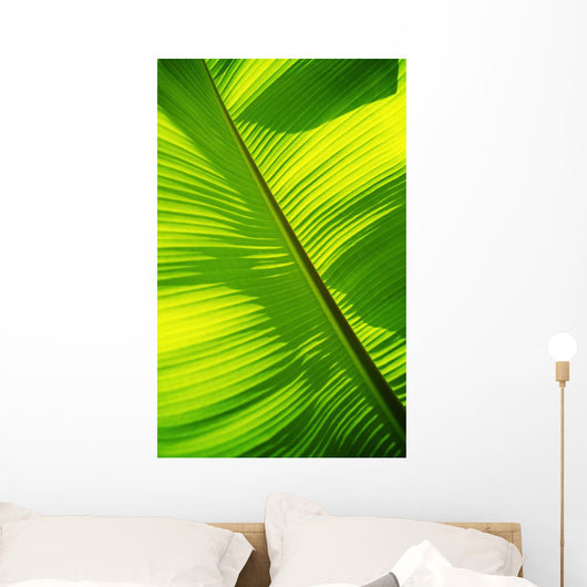Close-Up Of Bright Green Banana Leaf Pattern Forms Off The Main Rib Wall Mural