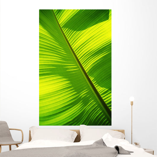 Close-Up Of Bright Green Banana Leaf Pattern Forms Off The Main Rib Wall Mural