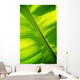Close-Up Of Bright Green Banana Leaf Pattern Forms Off The Main Rib Wall Mural
