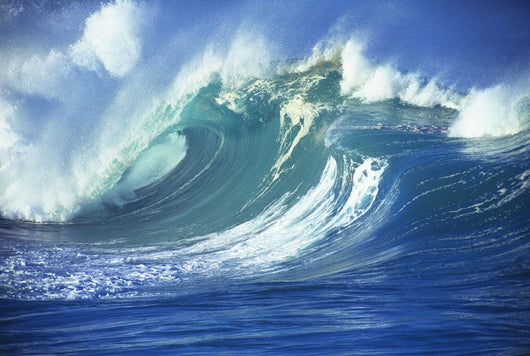 Stormy Ocean Wave Curling Over With Whitewash And A Barrel Forming Wall Mural