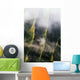 Aerial Cliffs And Mist In The Valley Of The Lost Tribes Wall Mural