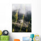 Aerial Cliffs And Mist In The Valley Of The Lost Tribes Wall Mural