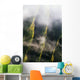 Aerial Cliffs And Mist In The Valley Of The Lost Tribes Wall Mural