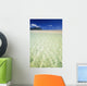 Hawaii, Oahu, Kaneohe Sandbar With Kualoa In The Back Ground Wall Mural