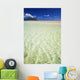 Hawaii, Oahu, Kaneohe Sandbar With Kualoa In The Back Ground Wall Mural