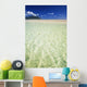 Hawaii, Oahu, Kaneohe Sandbar With Kualoa In The Back Ground Wall Mural