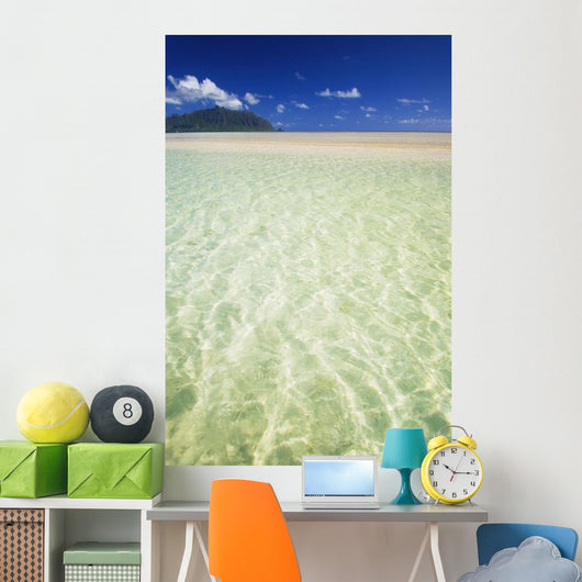 Hawaii, Oahu, Kaneohe Sandbar With Kualoa In The Back Ground Wall Mural