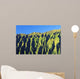 Hawaii, Oahu, Koolau Mountain Range, View Of Mountain Ridges Wall Mural