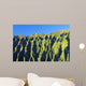 Hawaii, Oahu, Koolau Mountain Range, View Of Mountain Ridges Wall Mural