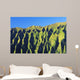 Hawaii, Oahu, Koolau Mountain Range, View Of Mountain Ridges Wall Mural