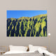 Hawaii, Oahu, Koolau Mountain Range, View Of Mountain Ridges Wall Mural