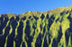 Hawaii, Oahu, Koolau Mountain Range, View Of Mountain Ridges Wall Mural