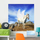 Pegasus Wall Mural