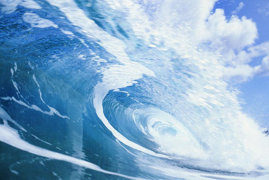 Close Up Of Large Curling Wave Wall Mural