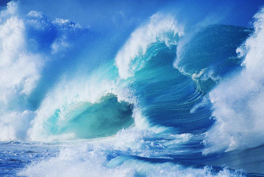 Hawaii, Oahu, North Shore Wall Mural