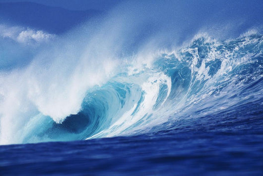 Hawaii, Oahu, Perfect Wave At Pipeline Wall Mural