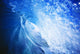 Hawaii, Oahu, Perfect Wave At Pipeline Wall Mural