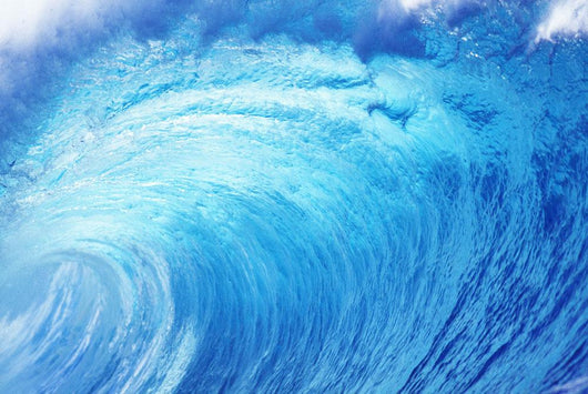Hawaii, Oahu, North Shore, Curling Wave At World Famous Pipeline Wall Mural