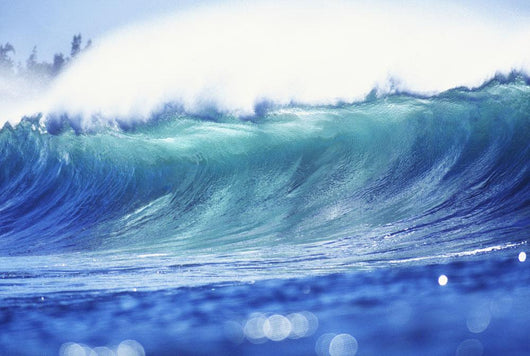 Hawaii, Oahu, North Shore, Curling Wave At World Famous Pipeline Wall Mural