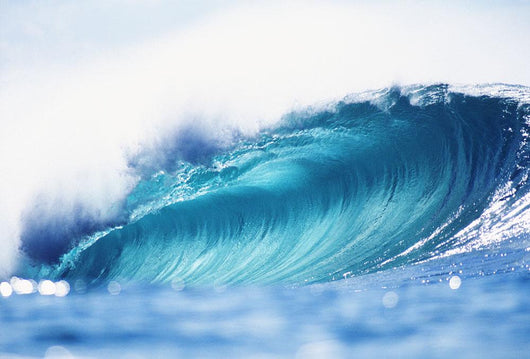 Hawaii, Oahu, North Shore, Curling Wave At World Famous Pipeline Wall Mural