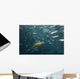 Green Sea Turtle Surrounded By Schooling Bigeye Jacks Wall Mural