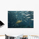 Green Sea Turtle Surrounded By Schooling Bigeye Jacks Wall Mural