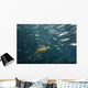 Green Sea Turtle Surrounded By Schooling Bigeye Jacks Wall Mural