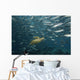 Green Sea Turtle Surrounded By Schooling Bigeye Jacks Wall Mural
