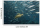 Green Sea Turtle Surrounded By Schooling Bigeye Jacks Wall Mural