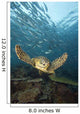 Green Sea Turtle Surrounded By Schooling Bigeye Jacks Wall Mural