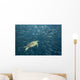 Green Sea Turtle Surrounded By Schooling Bigeye Jacks Wall Mural