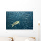 Green Sea Turtle Surrounded By Schooling Bigeye Jacks Wall Mural