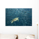 Green Sea Turtle Surrounded By Schooling Bigeye Jacks Wall Mural