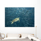 Green Sea Turtle Surrounded By Schooling Bigeye Jacks Wall Mural